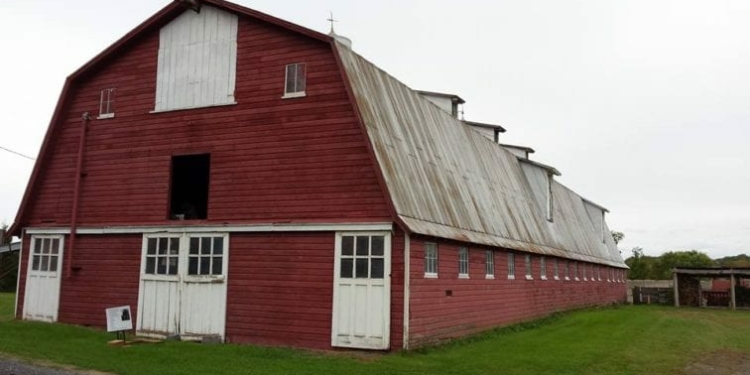 The 80-year old dairy barn as it stood last year was torn down Wednesday, April 27. Photo by Michael Hallisey/Spotlight
