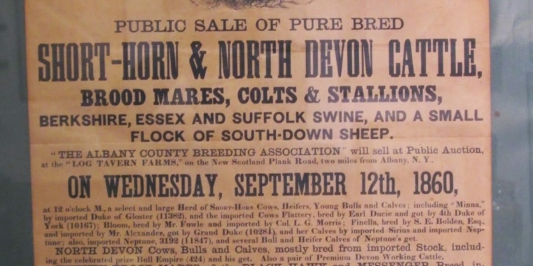 In this flyer, on display at the New Scotland Historical Association Museum, Slingerlands' namesake, W.H. Slingerland is listed as a "breeder and manager" of the cattle, horses, pigs and sheep for sale at a public auction in the fall of 1860, when the hamlet of Slingerlands was still called Norman's Kill.