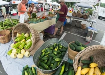The Colonie Farmers Market Jim Franco/Spotlight News