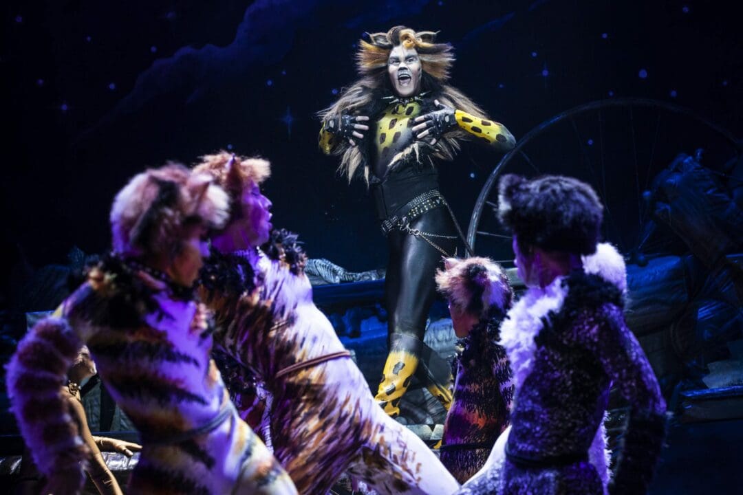 Cats will return to Proctors next April.
(Matthew Murphy /  Special to TheSpot518)