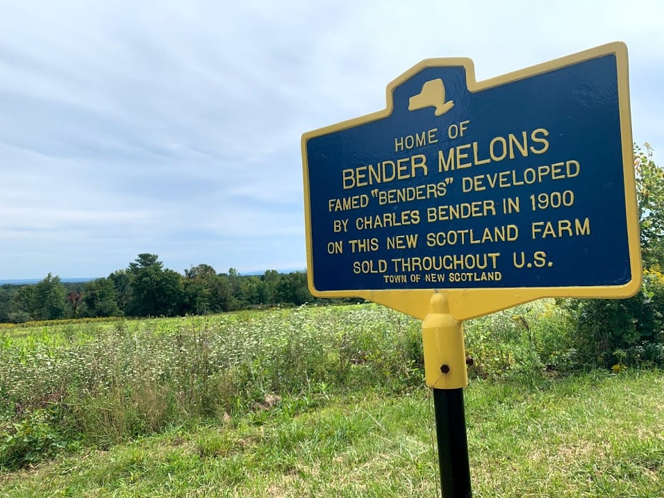 The New Scotland farm was once famous for providing a unique quality of melon cultivated by Charles Bender starting in 1900. The melons were a favorite among New York City’s social elite.
Diego Cagara / Spotlight News
