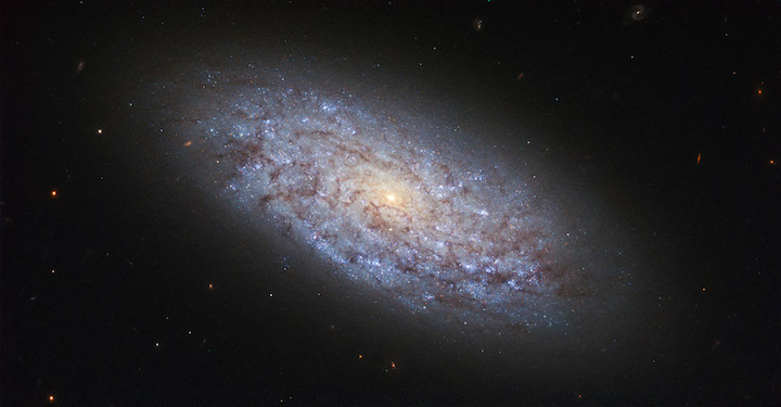 The subject of this NASA/ESA Hubble Space Telescope image is a dwarf galaxy named NGC 5949. Thanks to its proximity to Earth — it sits at a distance of around 44 million light-years from us, placing it within the Milky Way’s cosmic neighbourhood — NGC 5949 is a perfect target for astronomers to study dwarf galaxies. With a mass of about a hundredth that of the Milky Way, NGC 5949 is a relatively bulky example of a dwarf galaxy. Its classification as a dwarf is due to its relatively small number of constituent stars, but the galaxy’s loosely-bound spiral arms also place it in the category of barred spirals. This structure is just visible in this image, which shows the galaxy as a bright yet ill-defined pinwheel. Despite its small proportions, NGC 5949’s proximity has meant that its light can be picked up by fairly small telescopes, something that facilitated its discovery by the astronomer William Herschel in 1801.  Astronomers have run into several cosmological quandaries when it comes to dwarf galaxies like NGC 5949. For example, the distribution of dark matter within dwarfs is quite puzzling (the “cuspy halo” problem), and our simulations of the Universe predict that there should be many more dwarf galaxies than we see around us (the “missing satellites” problem).