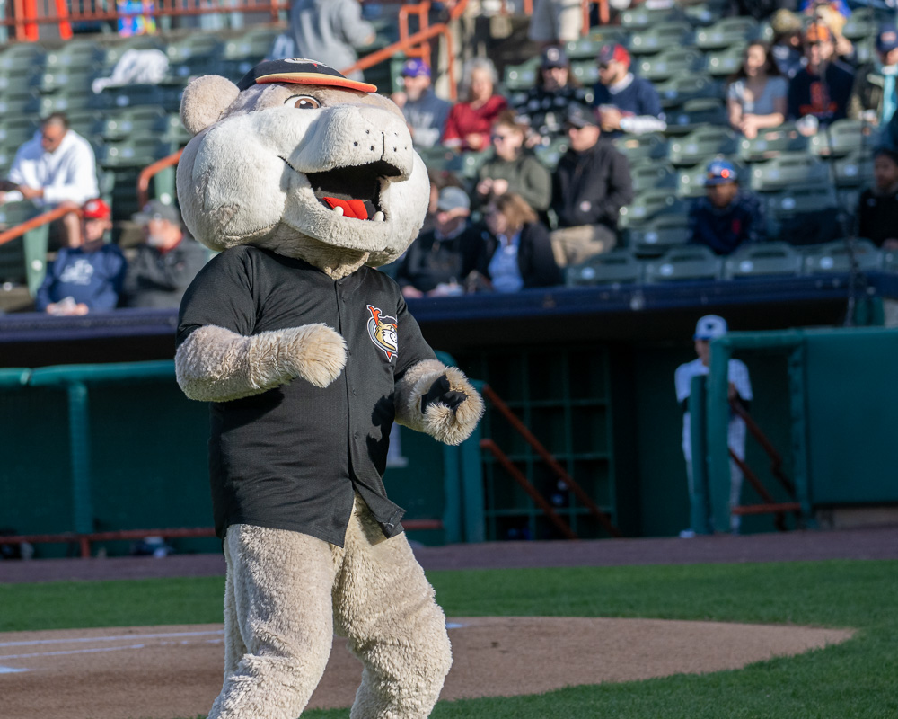 Enjoy an Exciting Game With Tri City Valleycats  
