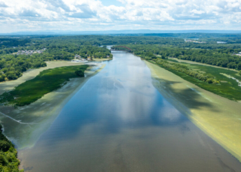 The Mohawk River with a water chestnut and other invasive plants along the Colonie shore on the left and Saratoga County on the right. 
Jim Franco / Spotlight News