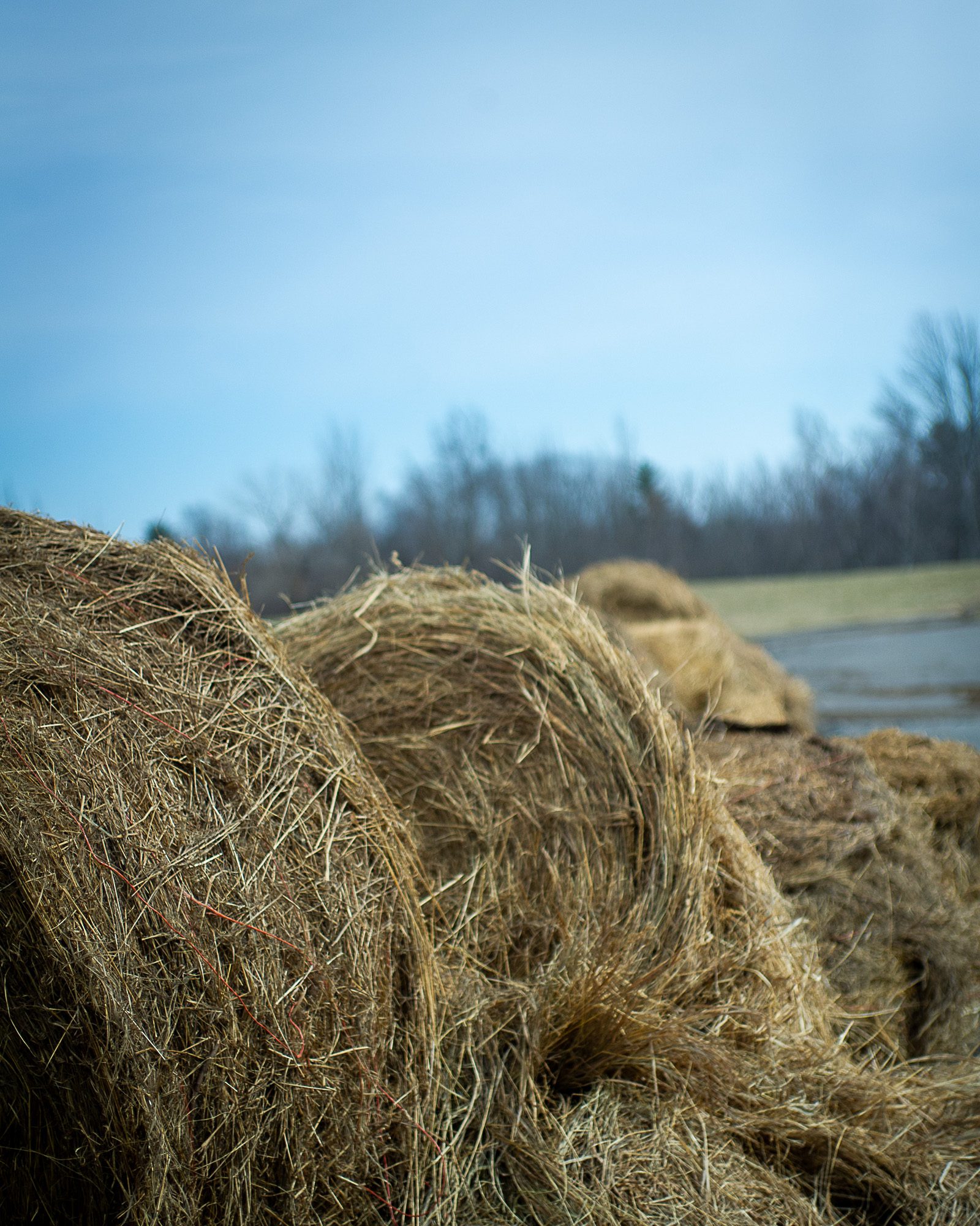 Round bales sit at the Town Compost Facility. They were taken from inside the Heath Dairy barn on the corner of Wemple Road and Route 9W.