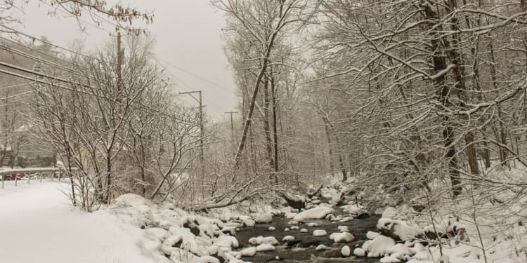 Upstate New York received its first official snowfall of 2024 Saturday night, January 6 to Sunday, January 7,2024. This is the upward view of the Quackenkill Creek in Cropseyville, NY taken Sunday, January 7, 2024. Photo by Amy Modesti/TheSpot518