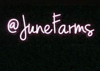 The lit up signage of June Farms on the property of June Farms in West Sand Lake, NY Wednesday, April 24, 2024. Photo by Amy Modesti/TheSpot518